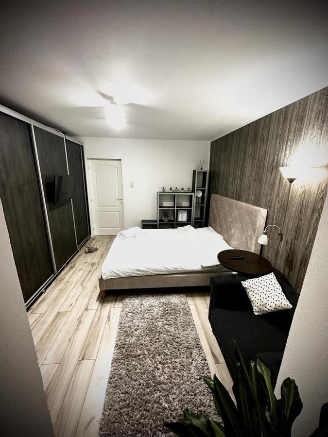 Studio In The Heart Of Apartment Brasov